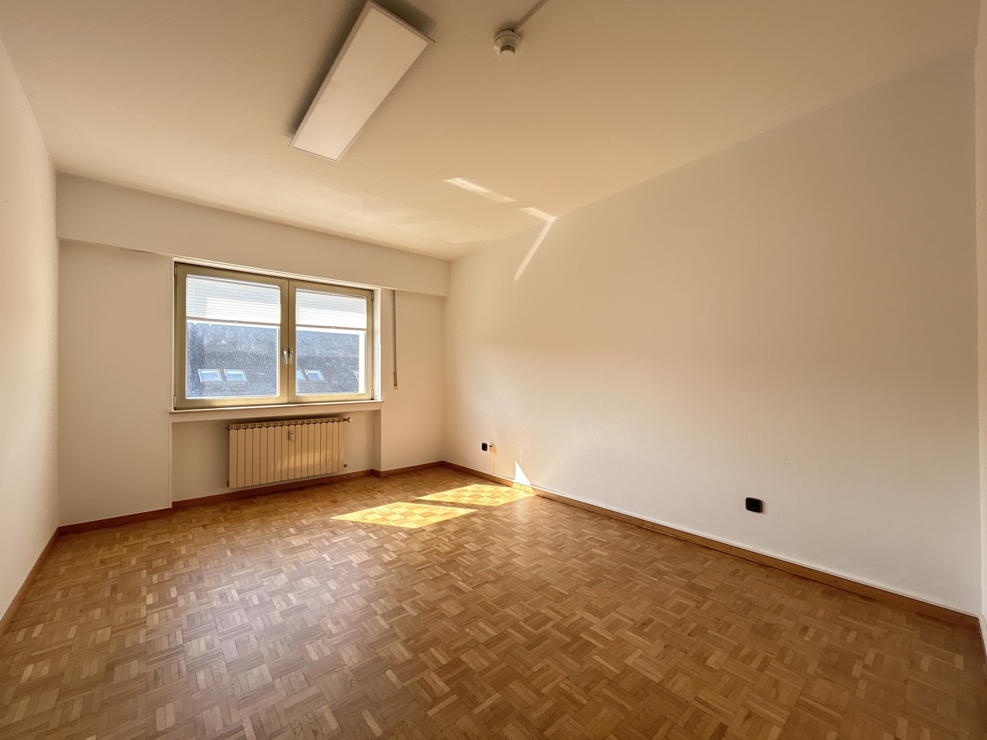 Bureau • 234.21m²